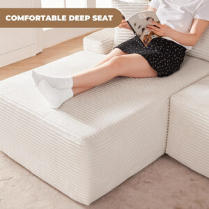 110” Cloud Sectional Couch, Boneless Sofa for Living Room, Modular Sectional Sofa with Deep Seat, Comfy Fluffy Couch with L-Shaped Chaise, No Assembly Required (Left-Facing Chaise, Dark Grey)