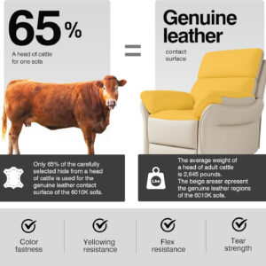 Genuine Leather Recliner Chair, Top Grain Leather, Italian Water-Washing Process, Recliner Chairs for Adults, for Living Room, Theater Seating, Bedroom. R1, Beige