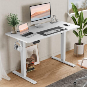 Standing Desk, Adjustable Height Electric Sit Stand Up Down Computer Table, 40x24 Inch Ergonomic Rising Modern Lift Motorized Gaming Desktop Workstation for Work Home Office, White