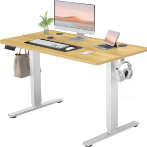 Standing Desk, Adjustable Height Electric Sit Stand Up Down Computer Table, 40x24 Inch Ergonomic Rising Modern Lift Motorized Gaming Desktop Workstation for Work Home Office, White