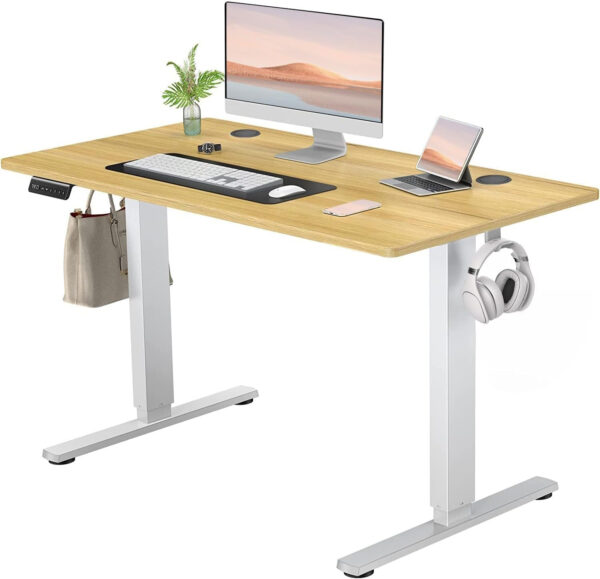 Standing Desk, Adjustable Height Electric Sit Stand Up Down Computer Table, 40x24 Inch Ergonomic Rising Modern Lift Motorized Gaming Desktop Workstation for Work Home Office, White