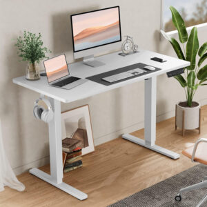 Standing Desk, Adjustable Height Electric Sit Stand Up Down Computer Table, 40x24 Inch Ergonomic Rising Modern Lift Motorized Gaming Desktop Workstation for Work Home Office, White