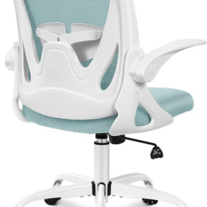 Primy Office Chair Ergonomic Desk Chair with Flip up Armrests Swivel Breathable Desk Mesh Computer Chair with Adjustable Lumbar Support and Height for Conference Room (Black)