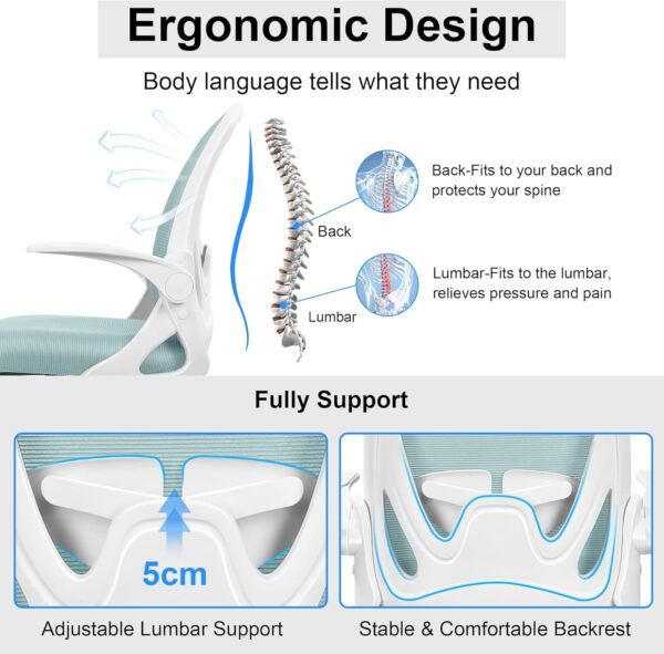 Primy Office Chair Ergonomic Desk Chair with Flip up Armrests Swivel Breathable Desk Mesh Computer Chair with Adjustable Lumbar Support and Height for Conference Room (Black)