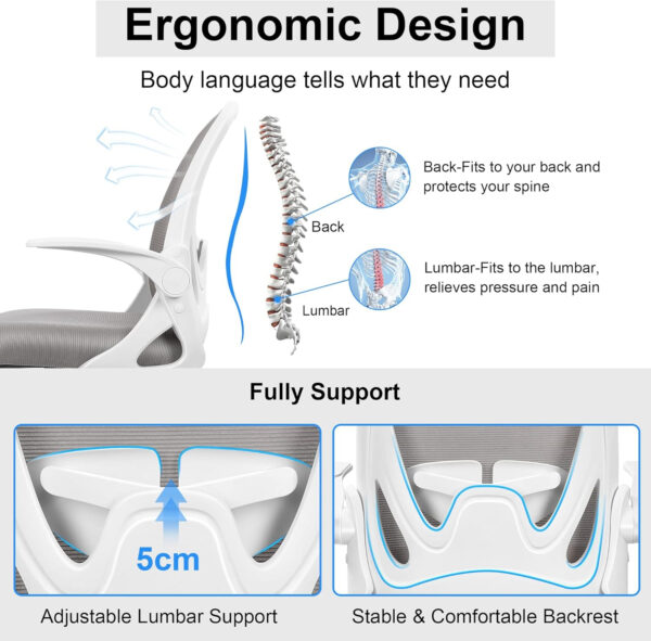 Primy Office Chair Ergonomic Desk Chair with Flip up Armrests Swivel Breathable Desk Mesh Computer Chair with Adjustable Lumbar Support and Height for Conference Room (Black)