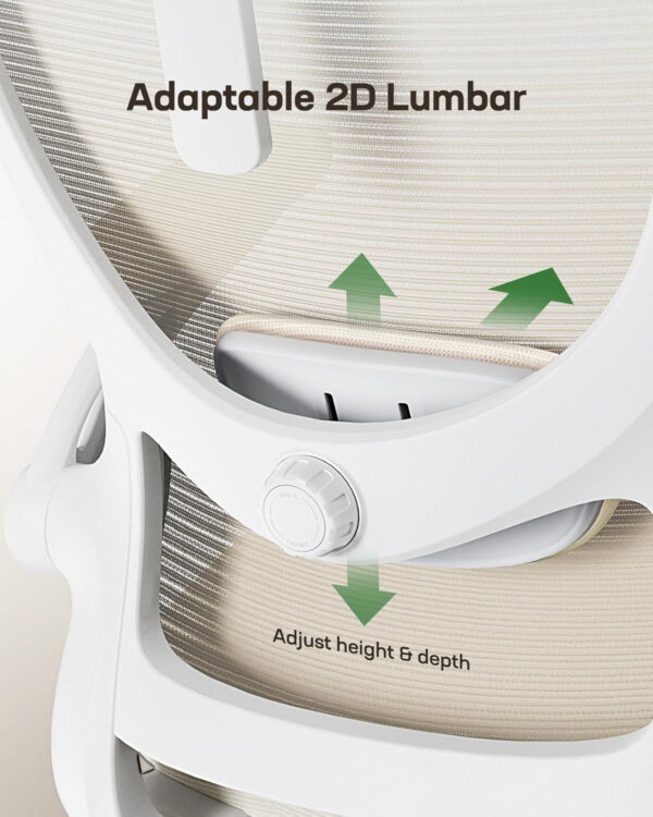 Marsail Ergonomic Office Chair: Office Computer Desk Chair with High Back Mesh and Adjustable Lumbar Support Rolling Work Swivel Task Chairs with Wheel 3D Armrests and Headrest