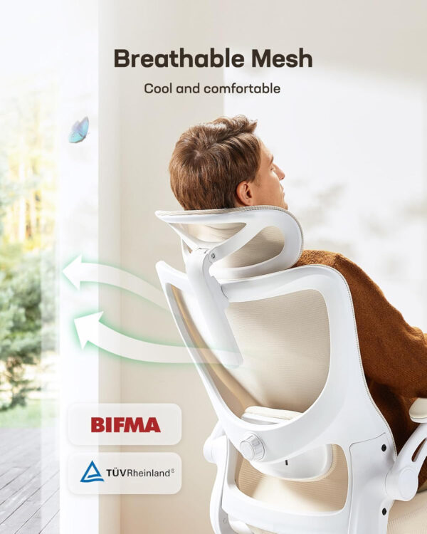 Marsail Ergonomic Office Chair: Office Computer Desk Chair with High Back Mesh and Adjustable Lumbar Support Rolling Work Swivel Task Chairs with Wheel 3D Armrests and Headrest