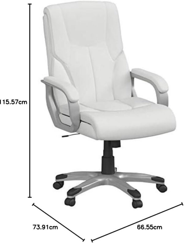 Amazon Basics Executive High Back Office Desk Chair, Adjustable Height, Tilt, Swivel, One Size, Brown/Gold