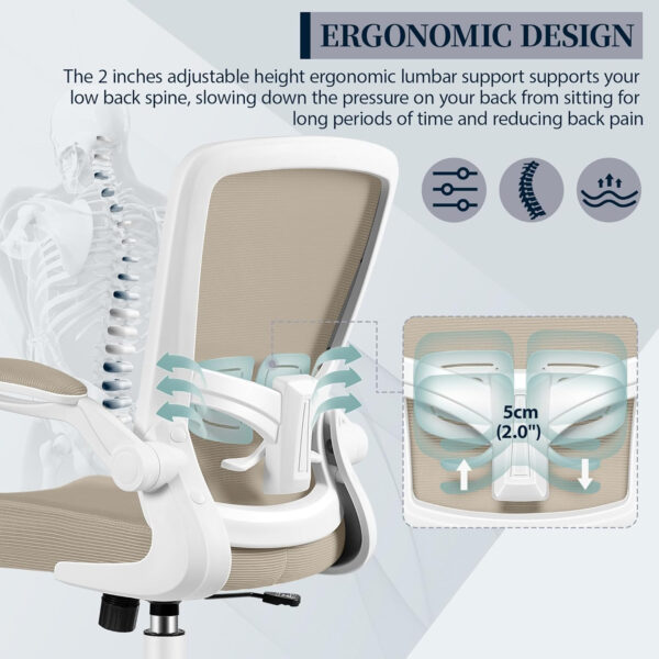 FelixKing Office Chair, Ergonomic Desk Chair with Adjustable Height and Lumbar Support Swivel Lumbar Support Desk Computer Chair with Flip up Armrests for Conference Room (Black)