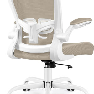 FelixKing Office Chair, Ergonomic Desk Chair with Adjustable Height and Lumbar Support Swivel Lumbar Support Desk Computer Chair with Flip up Armrests for Conference Room (Black)