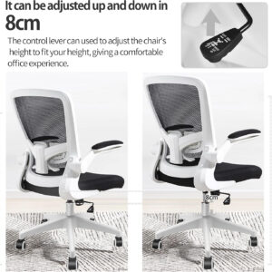 FelixKing Office Chair, Ergonomic Desk Chair with Adjustable Height and Lumbar Support Swivel Lumbar Support Desk Computer Chair with Flip up Armrests for Conference Room (Black)