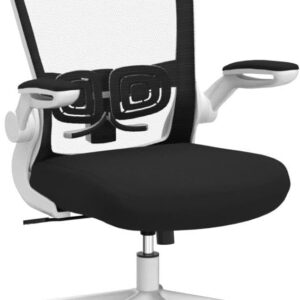 FelixKing Office Chair, Ergonomic Desk Chair with Adjustable Height and Lumbar Support Swivel Lumbar Support Desk Computer Chair with Flip up Armrests for Conference Room (Black)