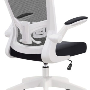 FelixKing Office Chair, Ergonomic Desk Chair with Adjustable Height and Lumbar Support Swivel Lumbar Support Desk Computer Chair with Flip up Armrests for Conference Room (Black)