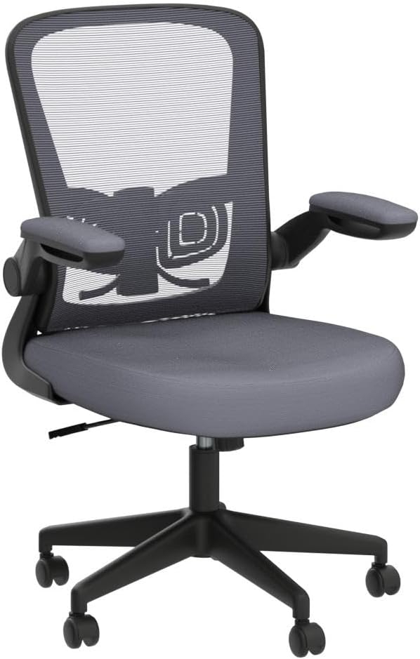 FelixKing Office Chair, Ergonomic Desk Chair with Adjustable Height and Lumbar Support Swivel Lumbar Support Desk Computer Chair with Flip up Armrests for Conference Room (Black)