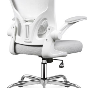 DEVAISE Office Chair Ergonomic Computer Desk Chair with Flip-up Armrests, Comfy Mesh with Adjustable Lumbar Support, White