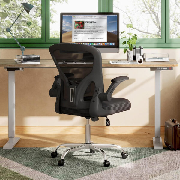 DEVAISE Office Chair Ergonomic Computer Desk Chair with Flip-up Armrests, Comfy Mesh with Adjustable Lumbar Support, White