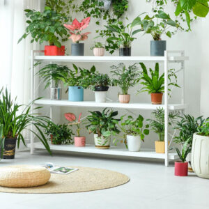 HCHQHS Bookshelf, 3-Tier Industrial Bookcase, Rustic Open Book Shelf, Wood and Metal Horizontal Bookshelves