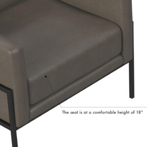 HomePop Modern Metal Frame Accent Chair Home Décor|Accent Chairs for Living Room & Bedroom - Carmel Faux Leather