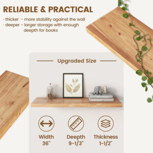 Rustic Elm Wood Floating Shelves for Wall, Live Edge 24"W x 9.2"D x 1.4"H, Set of 2 with Invisible Bracket, Wall Mounted Storage Shelves for Living Room Bedroom Kitchen Bathroom Decor, Natural Finish