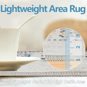 Homcomoda Vintage Area Rug 5x8 Washable Living Room Rug Indoor Non-Slip Print Accent Rugs for Bedroom Distressed Thin Throw Rugs Carpet for Living Room Dining Room Kitchen