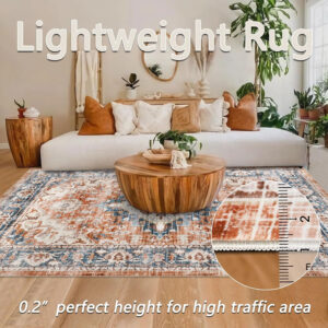 Homcomoda Vintage Area Rug 5x8 Washable Living Room Rug Indoor Non-Slip Print Accent Rugs for Bedroom Distressed Thin Throw Rugs Carpet for Living Room Dining Room Kitchen