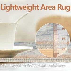 Homcomoda Vintage Area Rug 5x8 Washable Living Room Rug Indoor Non-Slip Print Accent Rugs for Bedroom Distressed Thin Throw Rugs Carpet for Living Room Dining Room Kitchen