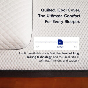 Nectar Classic 12” Queen Mattress - Medium Firm - Contouring Memory Foam - Cooling Top Layer - Support & Pressure-Relief - Mattress in a Box - 365-Night Trial & Forever Warranty
