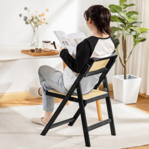 Rattan Dining Chairs Set of 2, Modern Mid Century Accent Chairs, Comfy Armchairs, Outdoor Rattan Chairs with Armrest for Bedroom Living Room Reading Room Dining Kitchen