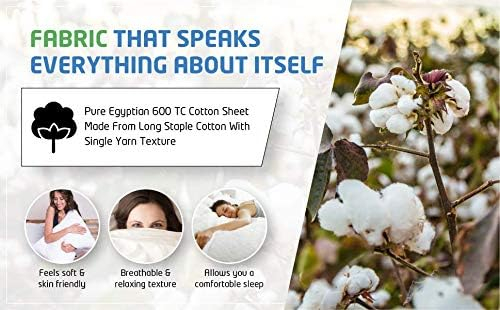 6888ab95871a6a75349e74500473bccebffa9fdff9f5e56e2b054.jpg PLUSHY COMFORT Luxury Full Sleeper Sofa Bed Sheet Set, I100% Egyptian Cotton, 600 Thread Count - Ivory Plain Color, Soft Fabric, Size (54 x 72 +6 Inch Deep Pocket), 4 Pcs Sleeper Sofa Sheet Set