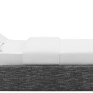 Modway Resort King Size Platform Bed with Arch Shaped Round Headboard in Taupeain-Resistant Performance Velvet King Bed, King Size Bed Frame, Soft Cloud Bed Frame, No Box Spring Needed