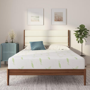 NapQueen Full Size, 10 Inch Anula Green Tea Infused Memory Foam Mattress, Bed in a Box, CertiPUR-US Certified Mattress