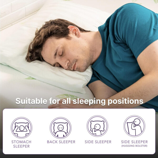 NapQueen Twin XL Size, 8 Inch Anula Green Tea Infused Memory Foam Mattress, Bed in a Box, CertiPUR-US Certified Mattress